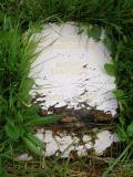 image of grave number 292507